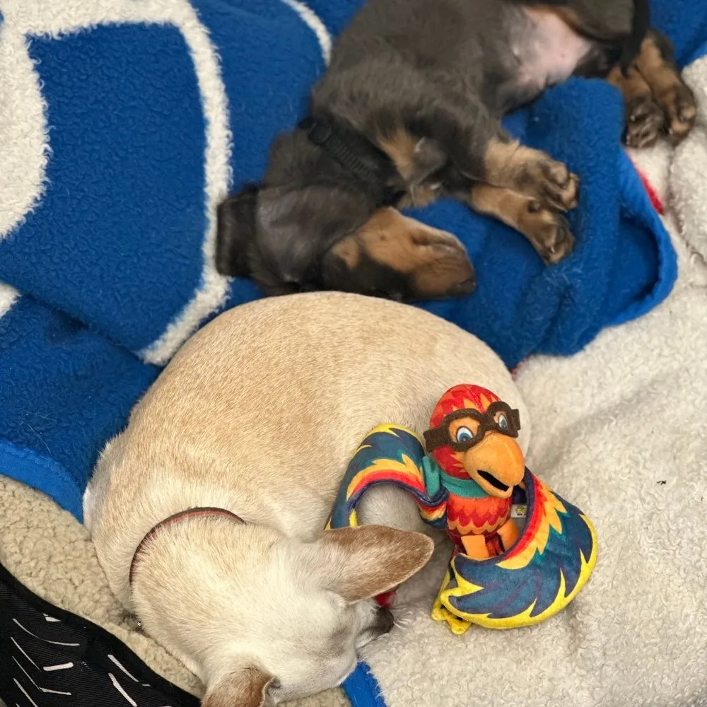 Slide of All Out Cooling & Heating