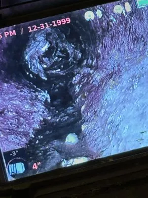 All Purpose Structure Remodeling