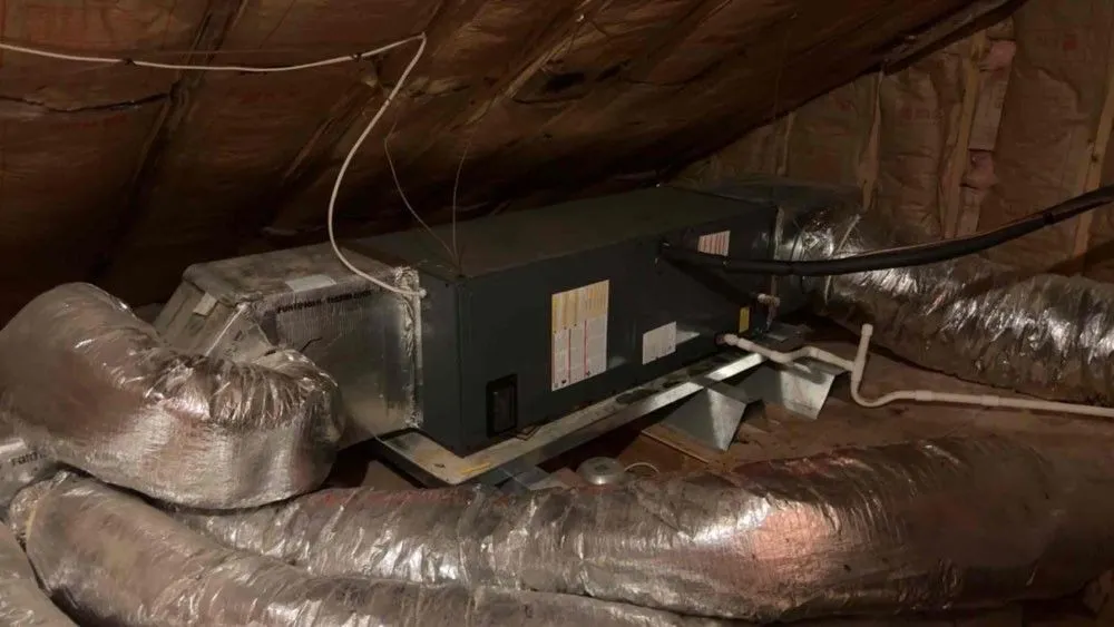 Slide of All Season Experts