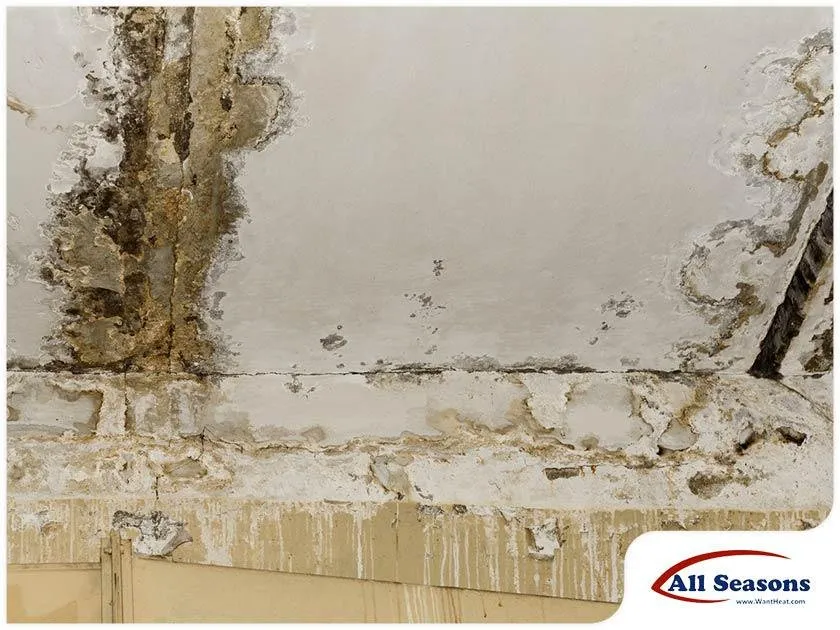 Slide of All Seasons