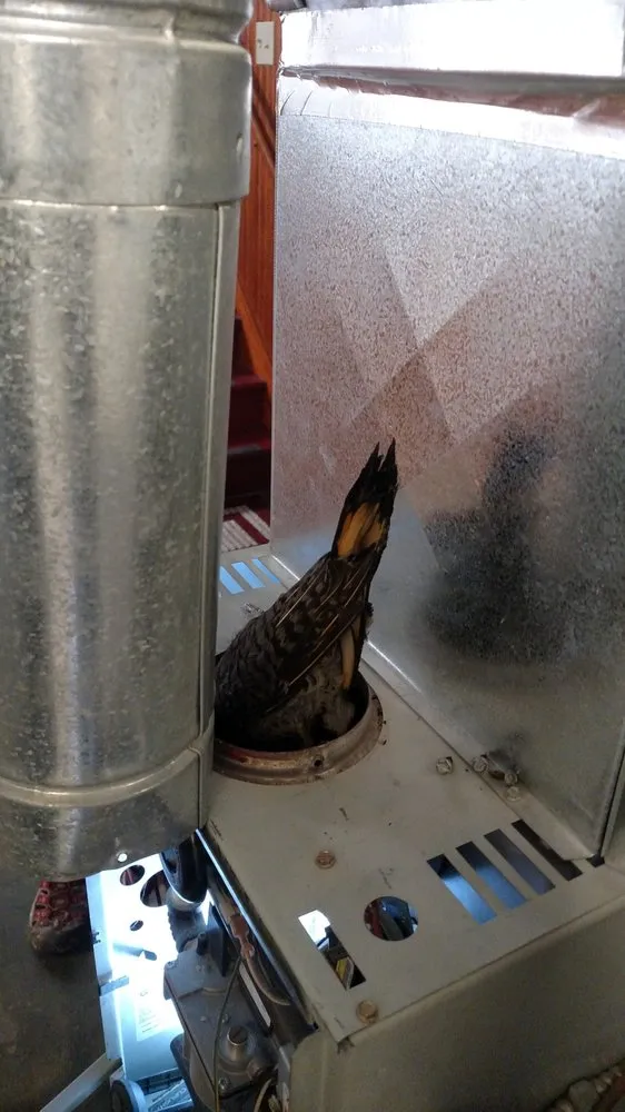 Slide of All Seasons