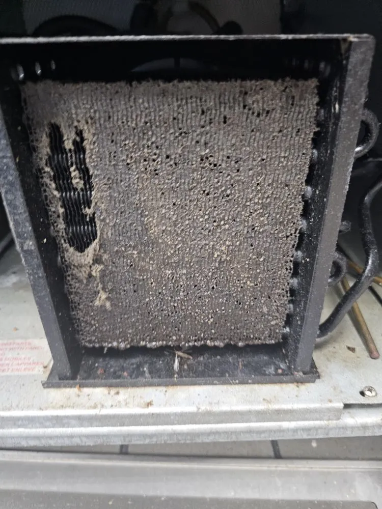 Slide of All Services