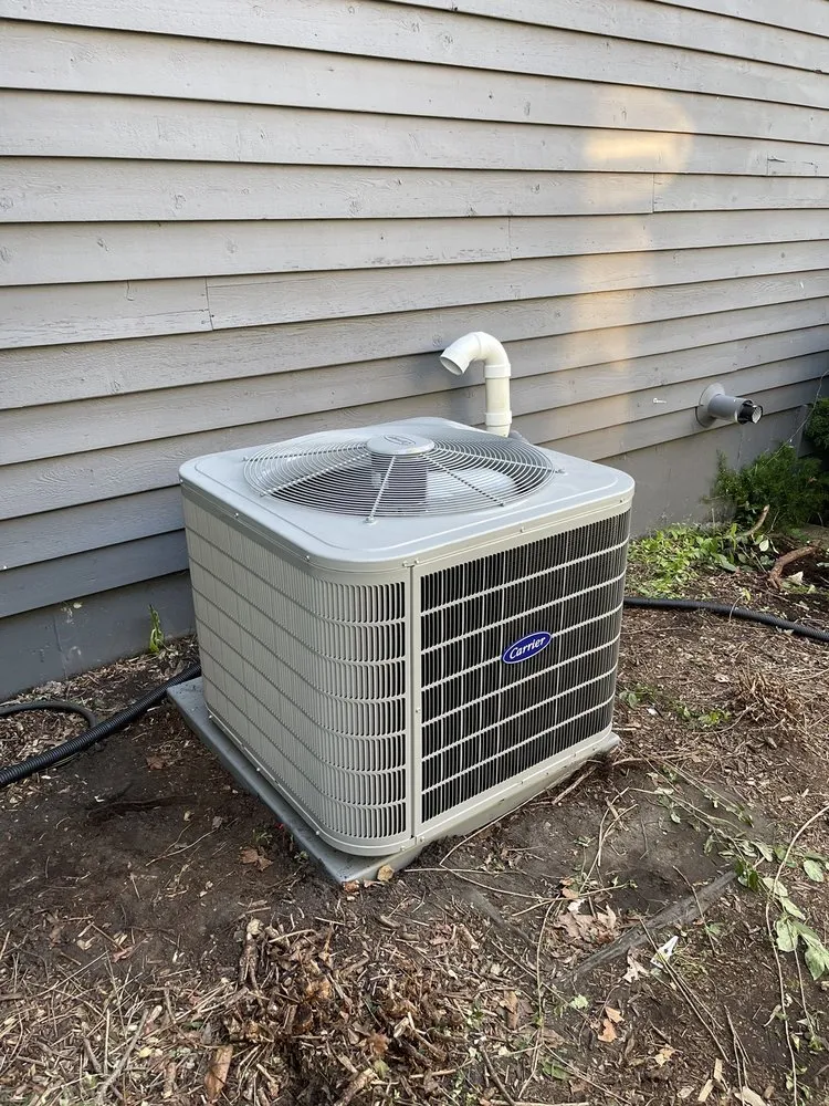 Slide of All Solutions