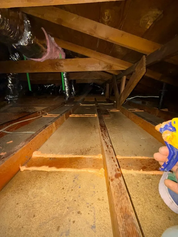 Slide of All Stars Construction