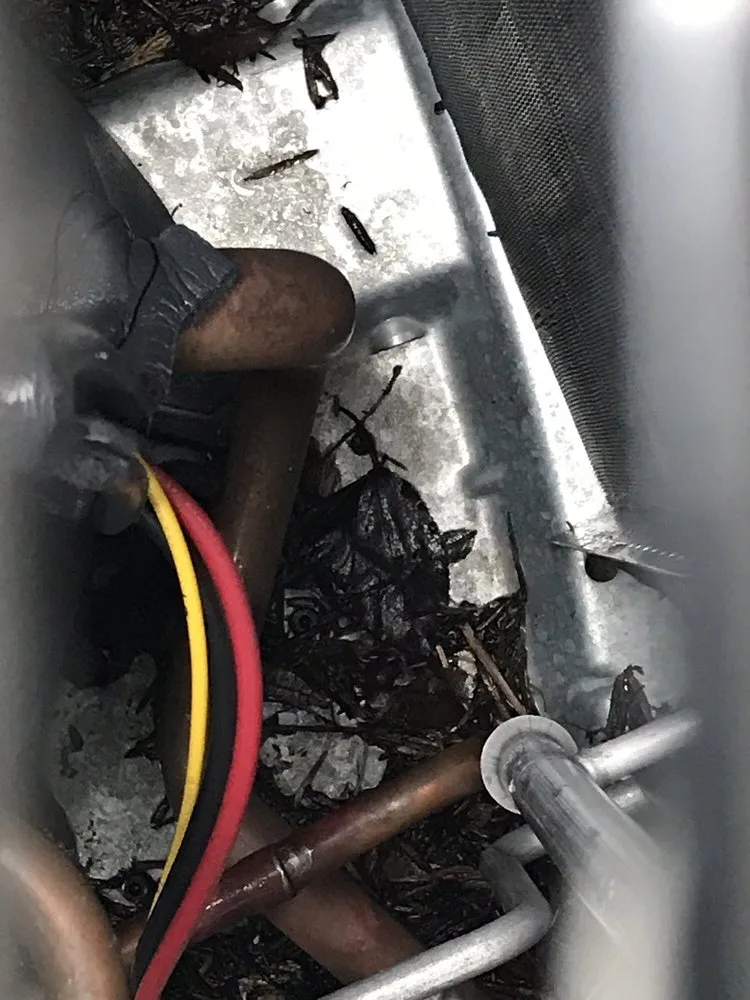 Slide of All Temp Heating & Air Conditioning