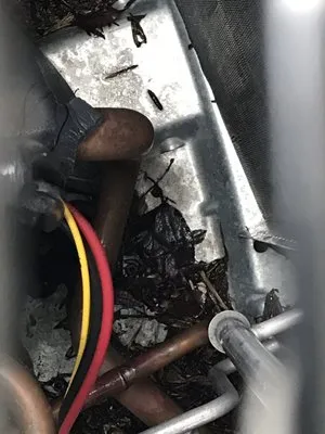 All Temp Heating & Air Conditioning