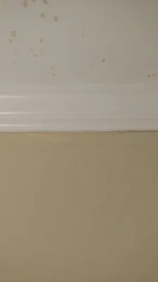 All Trade Services Logo