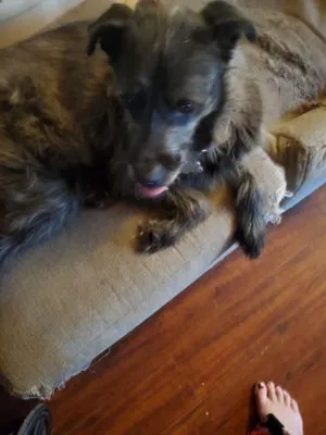 Allbright Electric Heating & Air Conditioning Logo