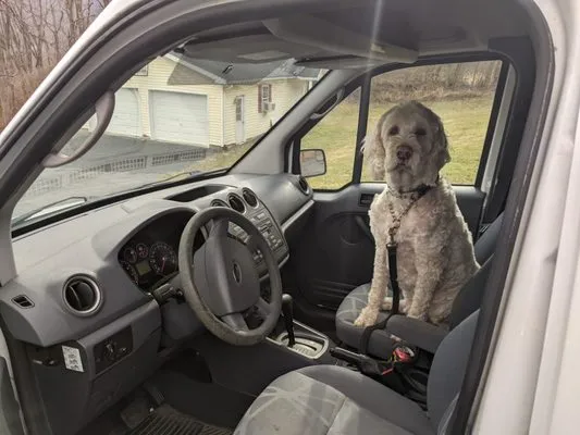 Allegheny Heating and Cooling