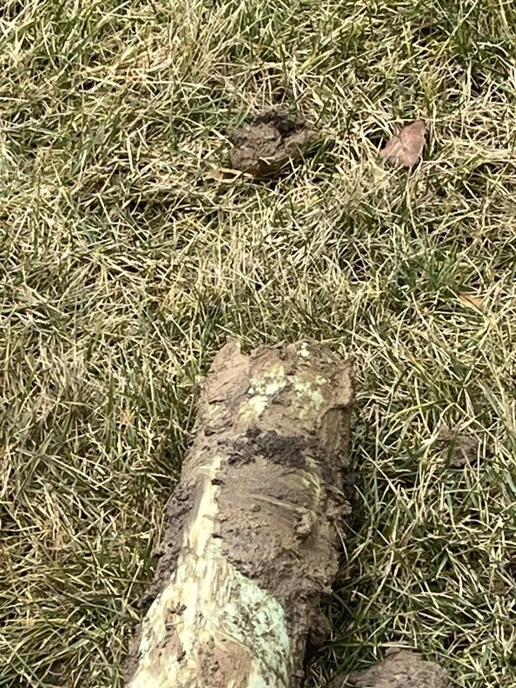 Slide of Allen Home Services