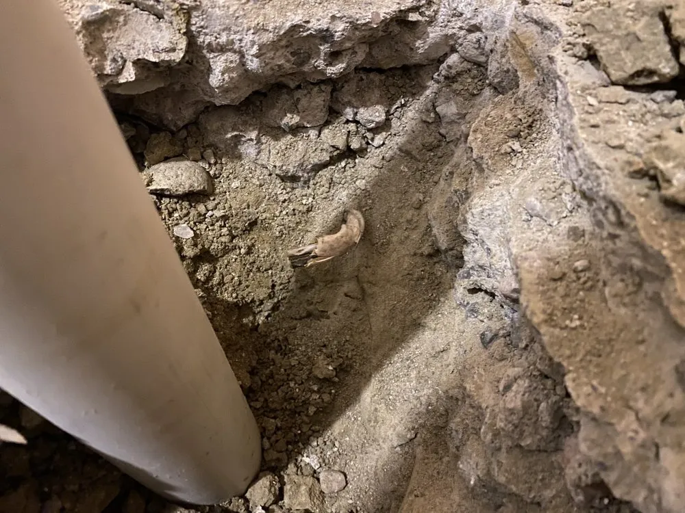 Slide of Allen Service