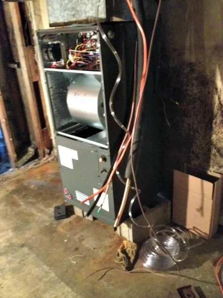 Slide of Allen's Kentucky Mechanical