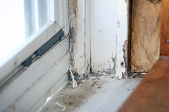 Slide of Alliance Environmental Group