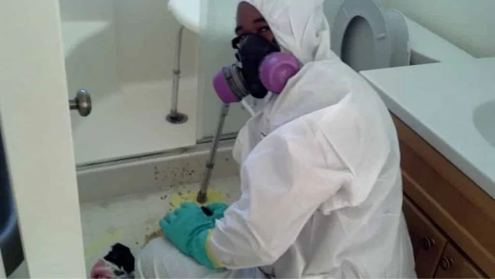 Slide of Alliance Environmental Group