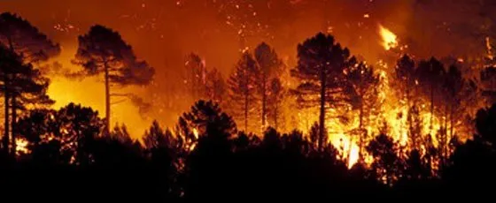 Slide of Alliance Environmental Group