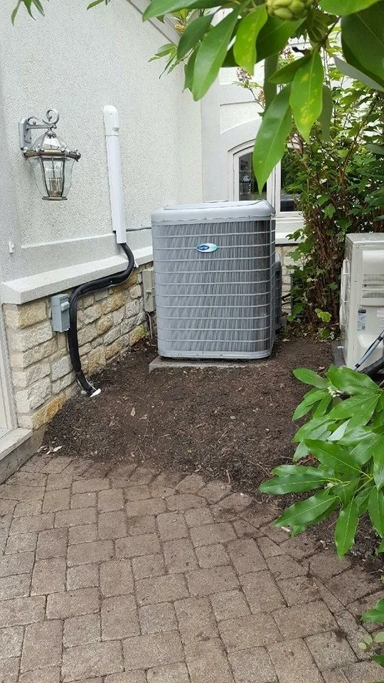 Slide of Allied Services