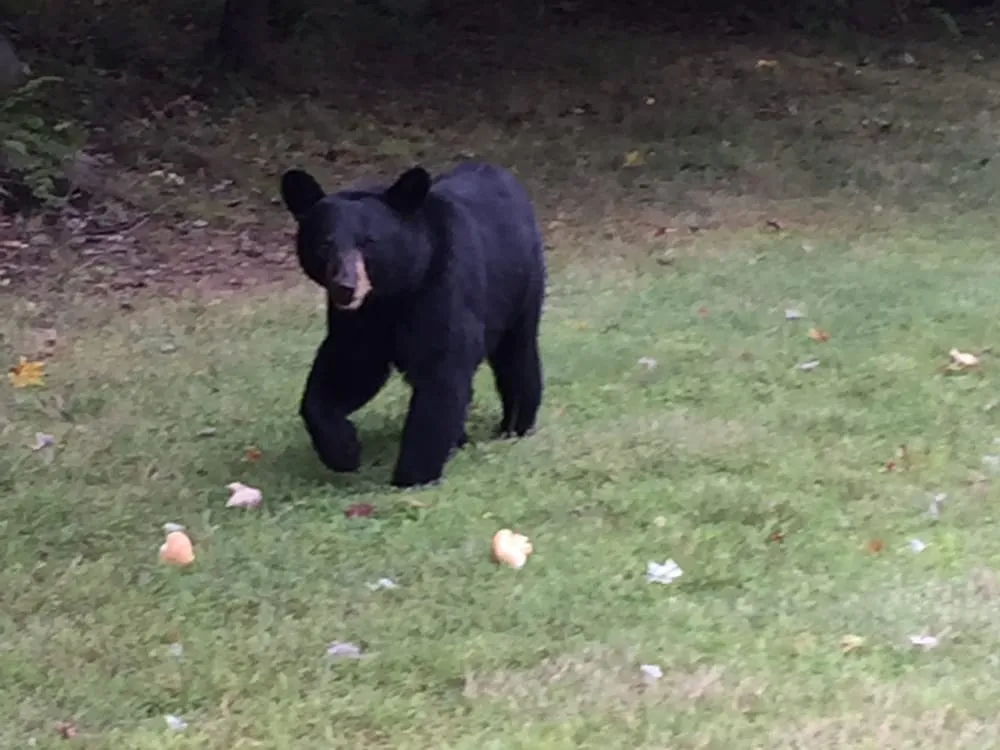 Slide of Alltech Mechanical Heating & Cooling