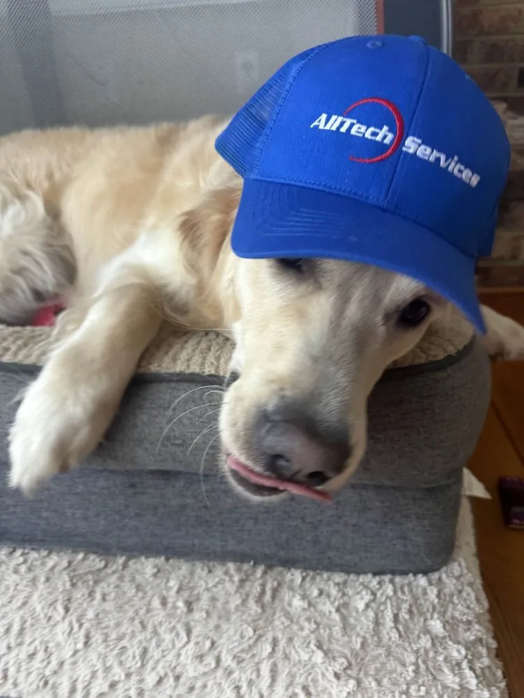 Slide of AllTech Services