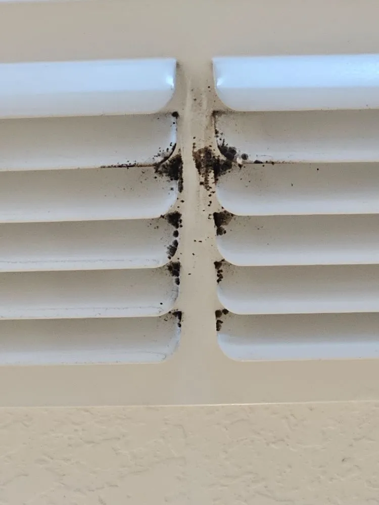 Slide of Alpha IAQ Solutions