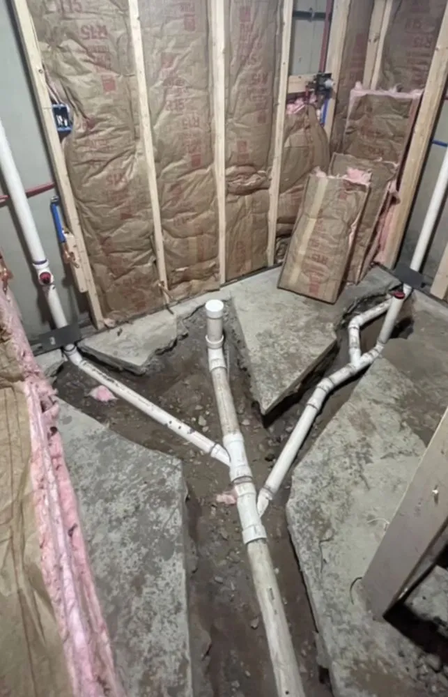 Slide of Alpha KB Remodeling