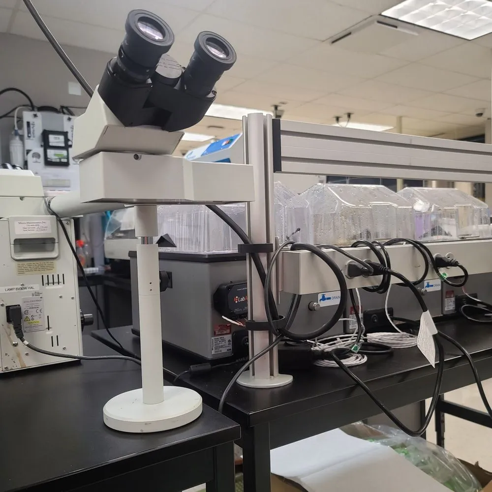 Slide of Alpharetta cleaning services