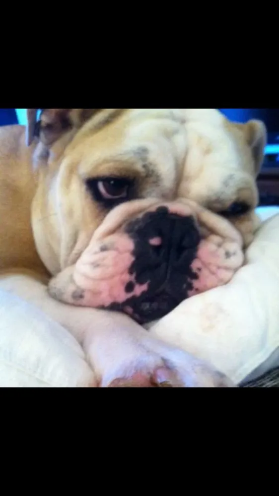 Slide of Alpine Refrigeration Heating & Cooling