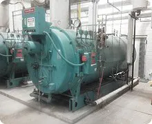 Slide of Alton Combustion