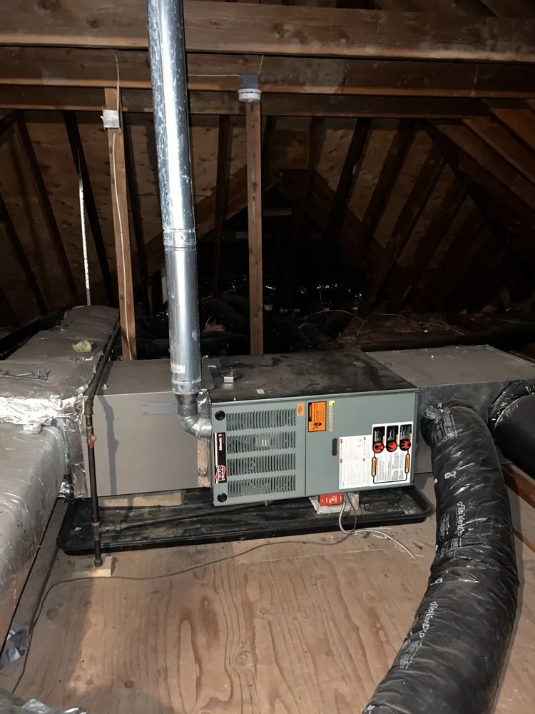 Slide of Always Comfy