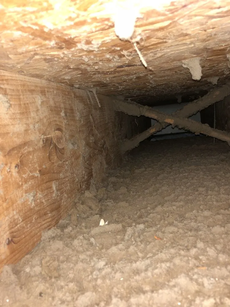 Slide of AM Pure Services