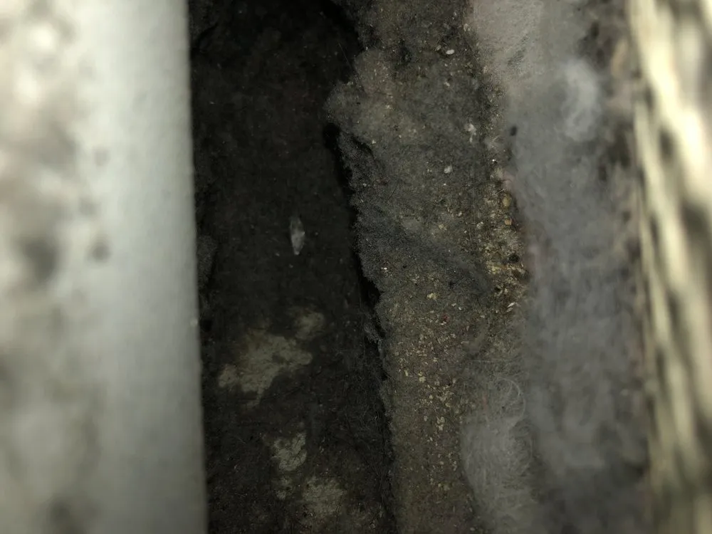 Slide of Amazon Air Duct Cleaning