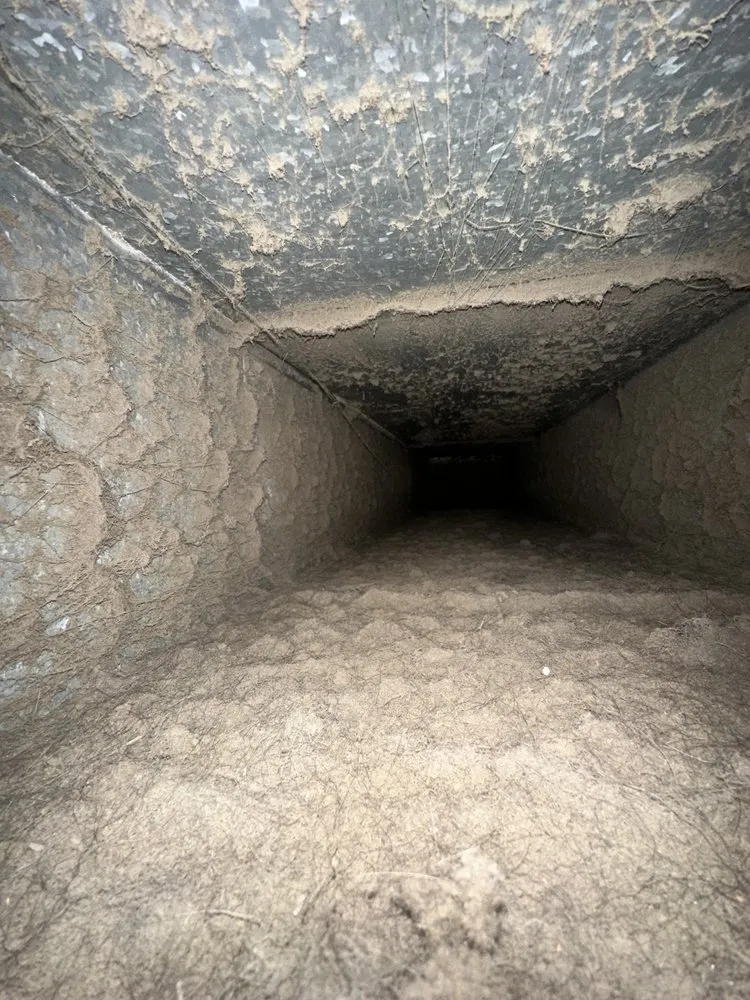 Slide of Amber's Air Duct Cleaning