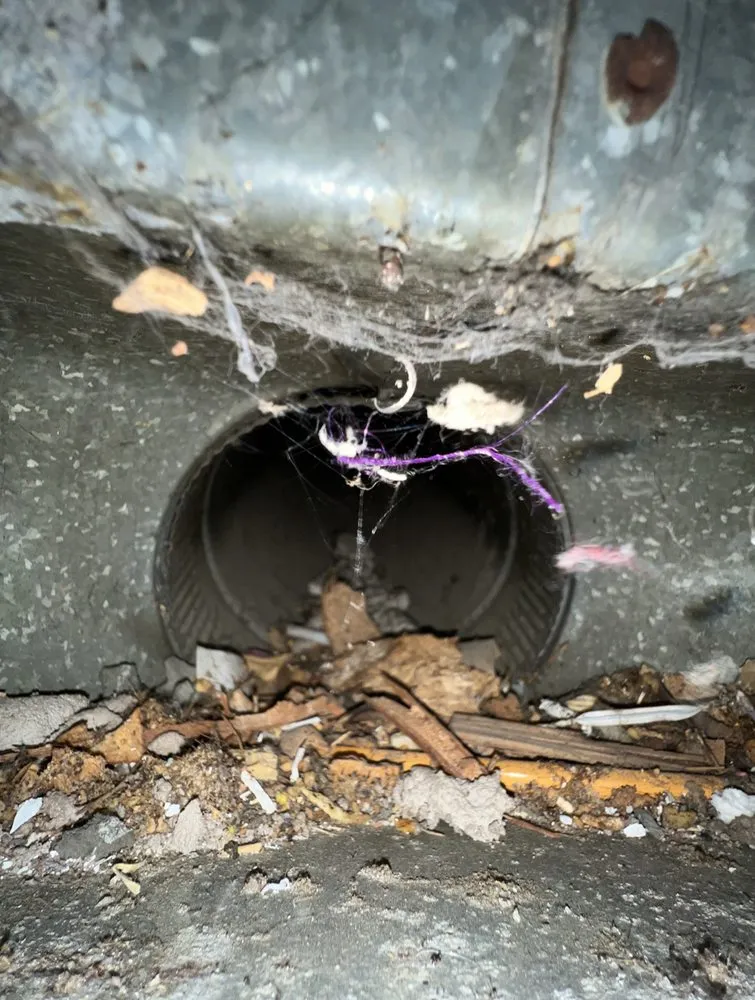 Slide of Amber's Air Duct Cleaning