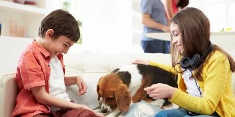 Slide of Ambient Comfort