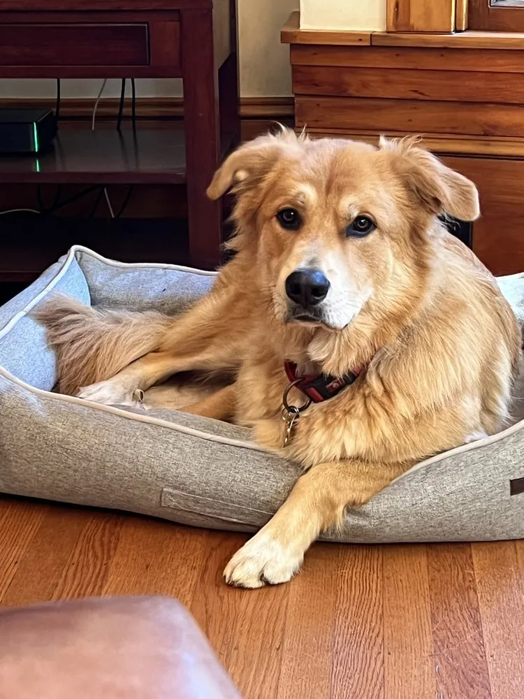 Slide of Ambient Experts HVAC