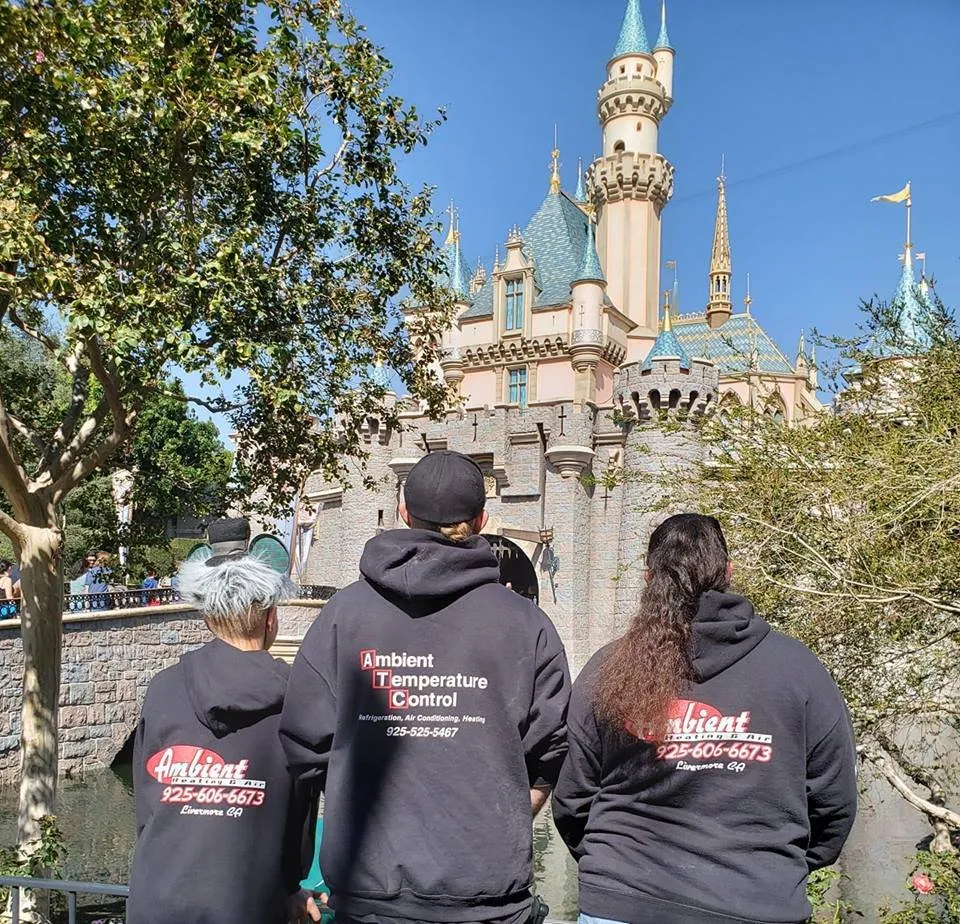 Slide of Ambient Heating and Air