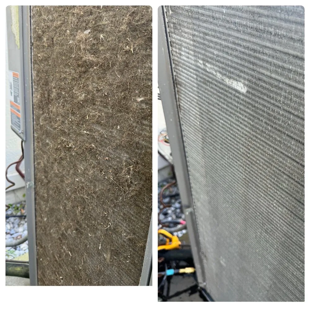 Slide of Amelia's Best