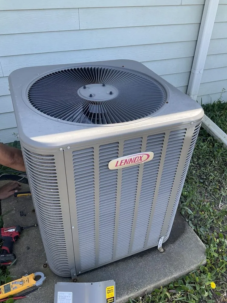 Slide of Amelia's Best