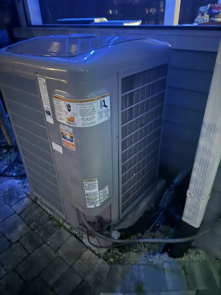 Slide of Amelia's Best