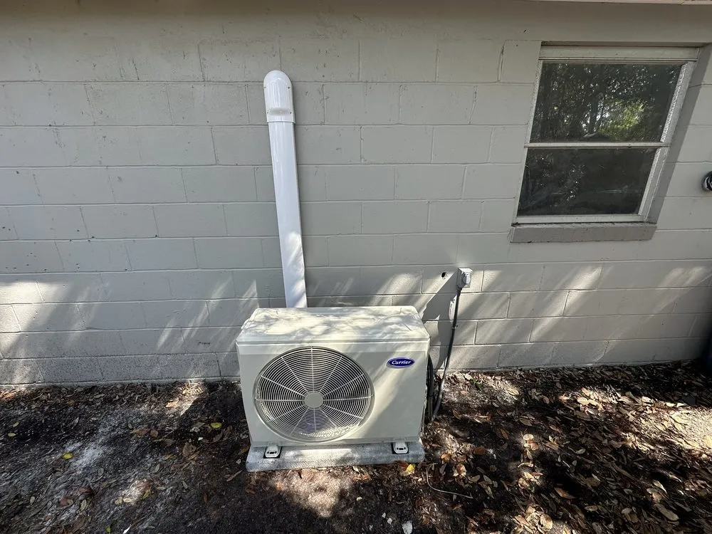 Slide of Amelia's Best