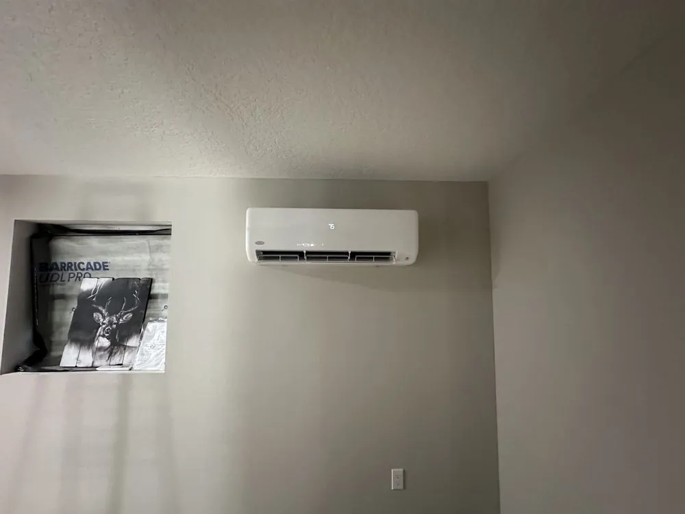 Slide of Amelia's Best