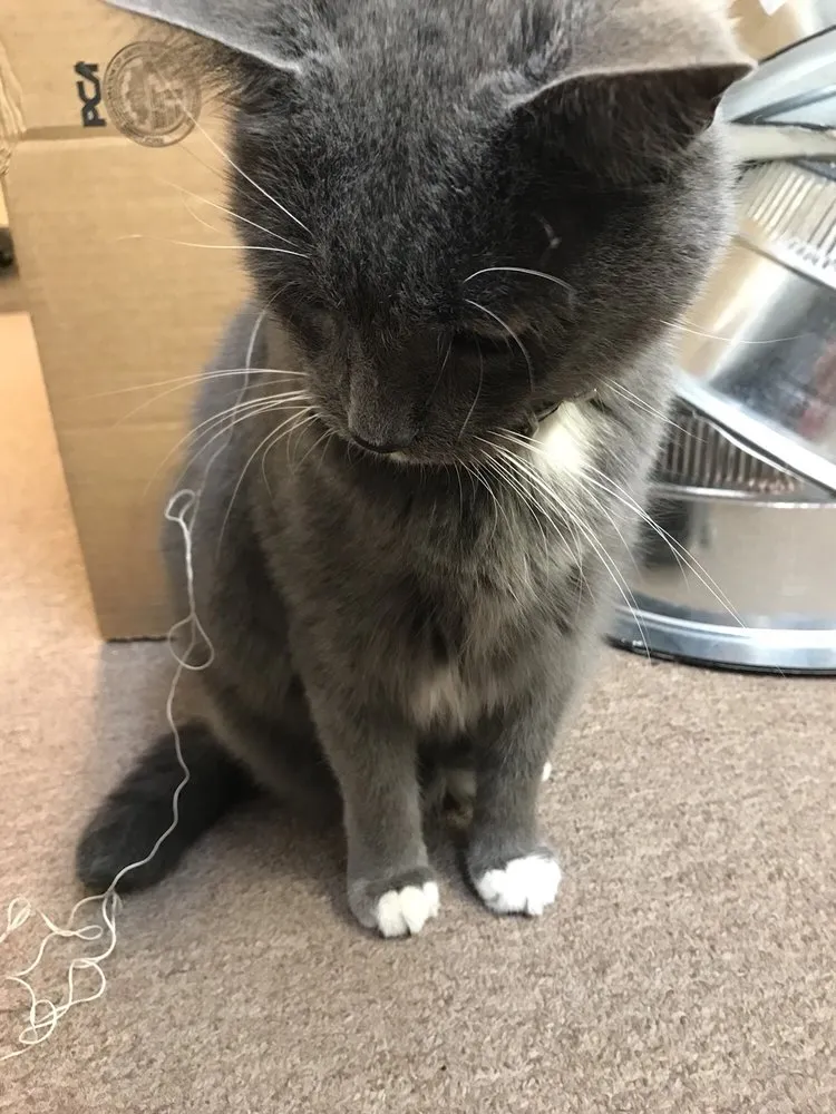 Slide of American Air & Heat