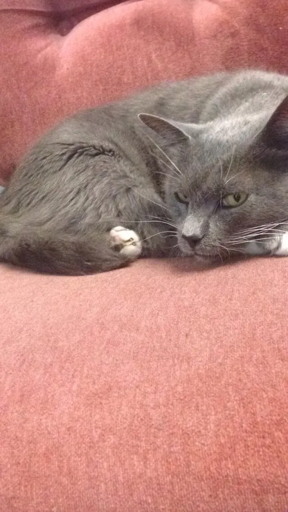 Slide of American Air & Heat