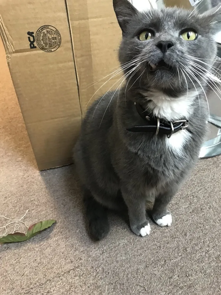 Slide of American Air & Heat