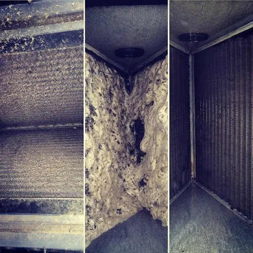 Slide of American Air Cares