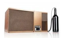 Slide of American Air Customs