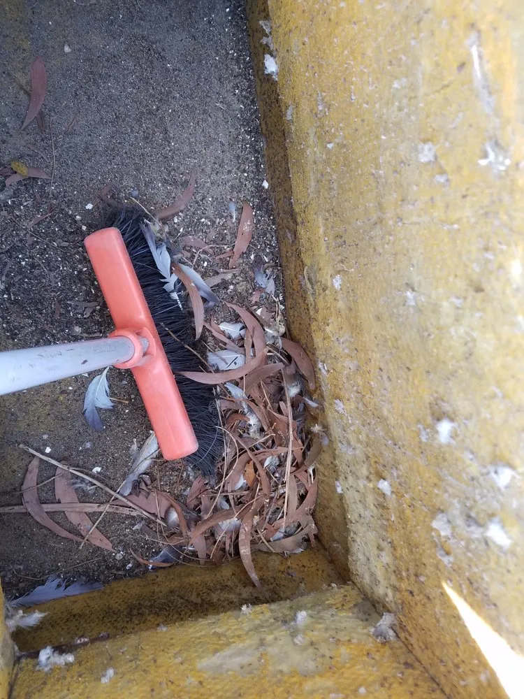 Slide of American Airworks