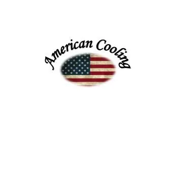 Slide of American Cooling Solutions