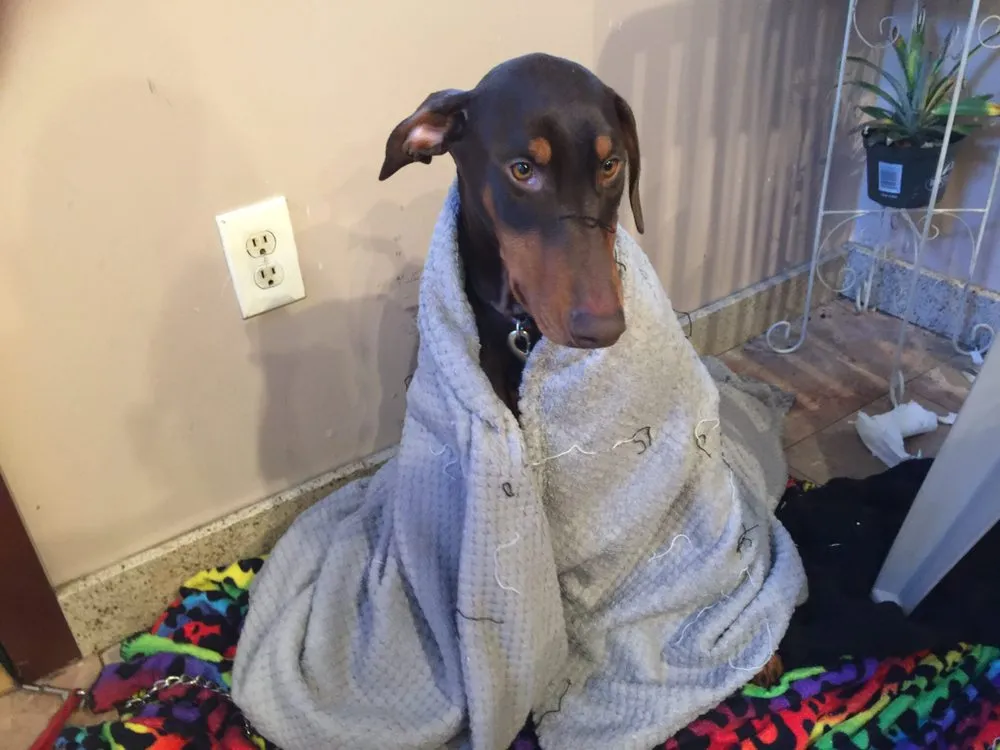 Slide of American Independent Contractors