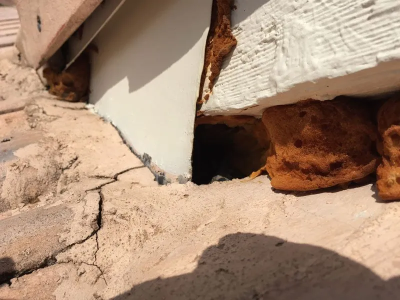 Slide of American Insulation & Rodent Solutions