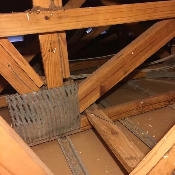 Slide of American Insulation & Rodent Solutions